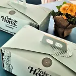 Affittacamere Michelangelo's Pompei