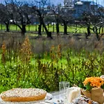 Michelangelo's Affittacamere Pompei