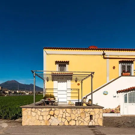 Konukevi Michelangelo's