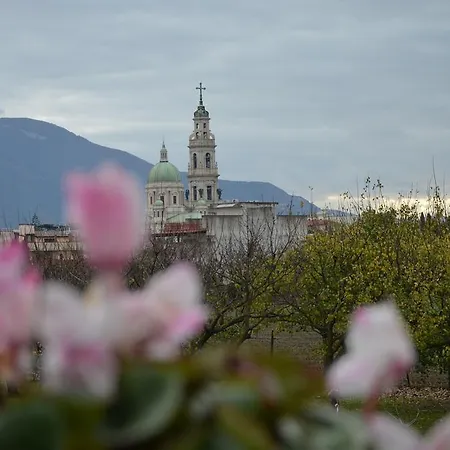 Michelangelo's Pompei