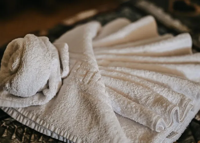 Michelangelo's Affittacamere