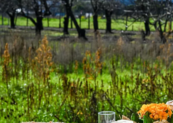 Michelangelo's Gasthof Pompei