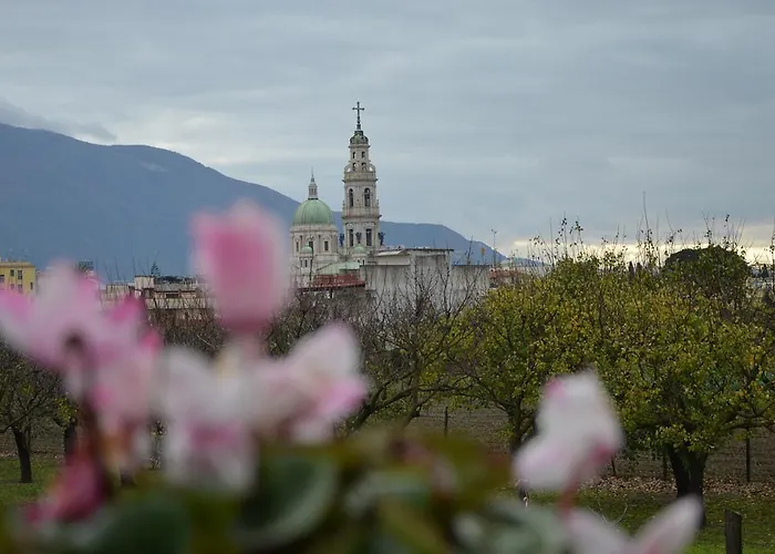 Michelangelo's Pompei